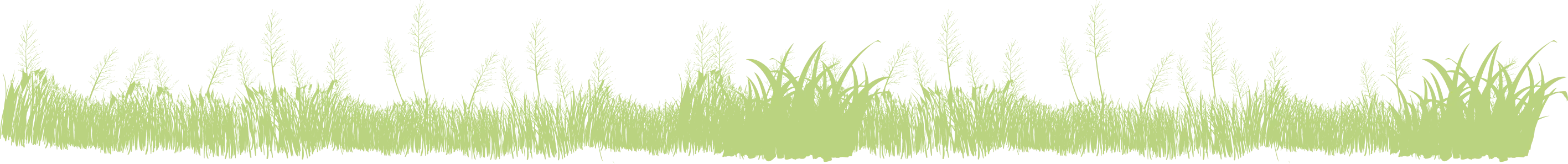 grass