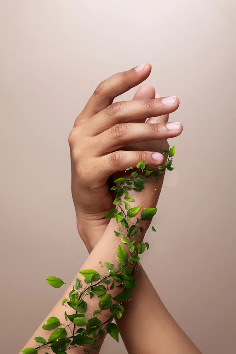 Ayurvedic herbs in hands